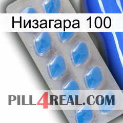 Низагара 100 22